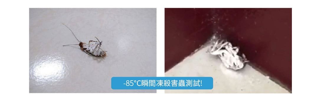 居家必備瞬間急凍殺蟲 噴5秒蟑螂變冰塊 台灣唯一專利環保無毒害